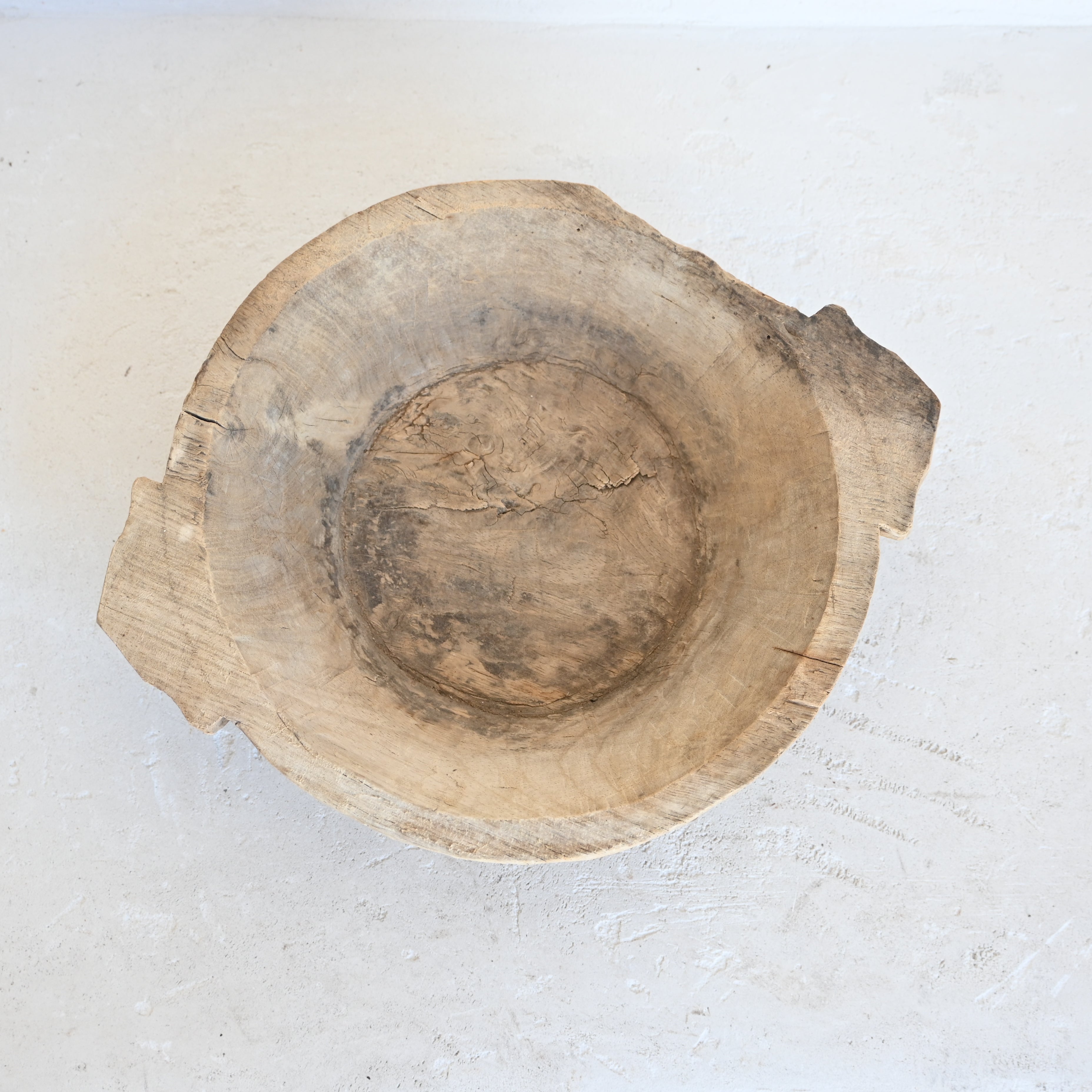 Indian Carved Parat 328665