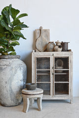 PRANA Iron Almirah Cabinet