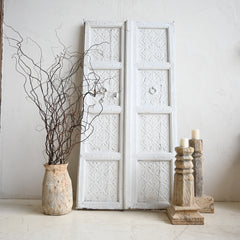 Antique Indian door 245698