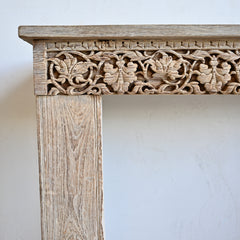 PRANA Console