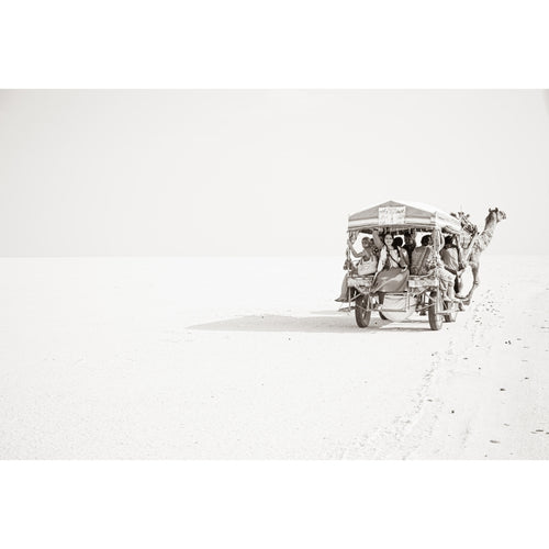 Great Rann of Kutch Camel Caravan Wall Print