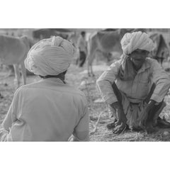 Pushkar Camel Men Wall Print